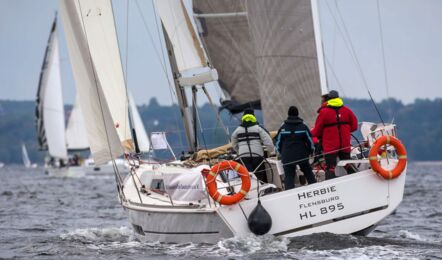 Dufour 382 "Herbie" ab 2025 in Flensburg